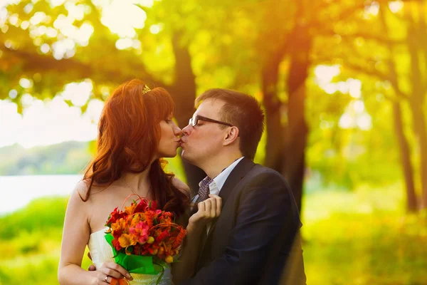 Sunlight Bride and groom standing in a green forest at the weddi — Stock Photo, Image