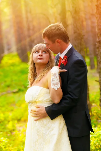 Sunlight Bride and groom standing in a pine forest in autumn, th — Stock Photo, Image