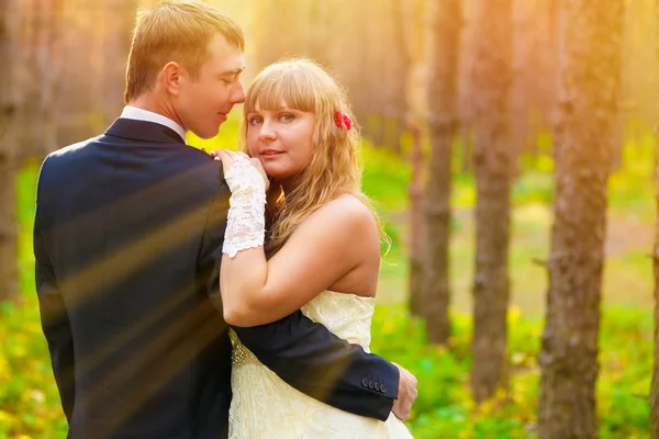 Sunlight Bride and groom standing in a pine forest in autumn, ne — Stock Photo, Image