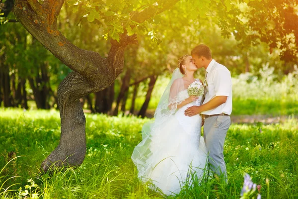 Sunlight bride and groom newlyweds kissing in woods on green bac Stock Photo