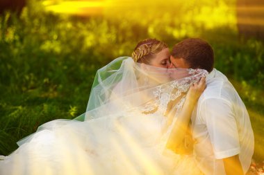 güneş ışığı güzel gelin damat yeni evliler için yeşil ayakta