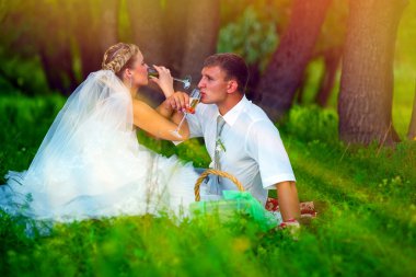 güneş ışığına gelin ve damat bir düğünde yeşil orman oturma
