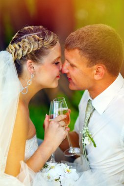 güneş ışığına gelin ve Damat Düğün iki bardak touc holding