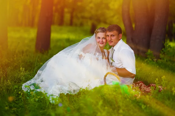 Sunlight beautiful couple at wedding newlyweds a picnic in a for — Stock Photo, Image
