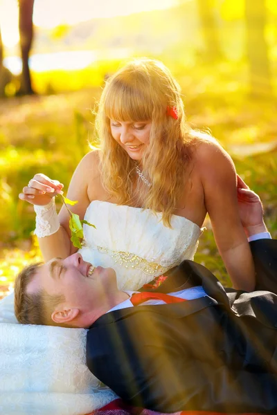 Sonnenlicht Braut und Bräutigam sind im gelben Herbstwald in einem romantischen — Stockfoto