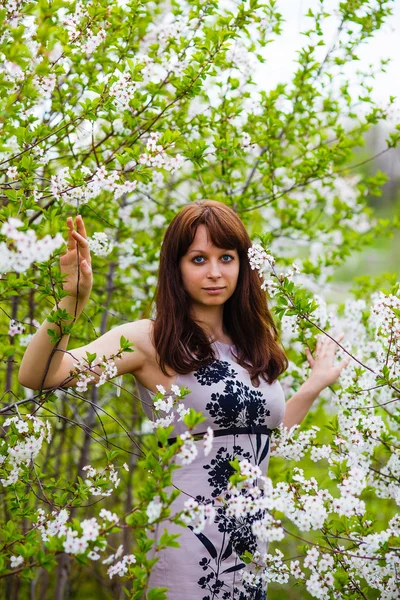 Brunette meisje permanent op natuur rond bloeiende kersen boom wit — Stockfoto