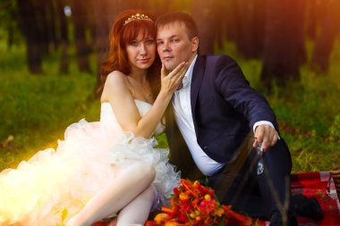 Çift güneş ışığına gelin ve damat yeşil Çimlerde piknik oturan