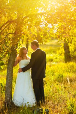 Çift güneş ışığına gelin ve damat stand sonbahar Forest