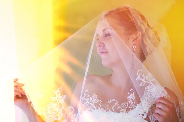 Bride sunlight woman blonde with a lowered veil stands and — Stock Photo, Image