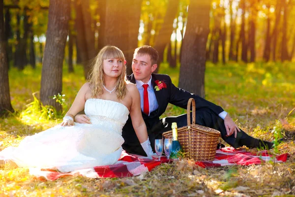 Couple bride groom sunlight in yellow autumn forest, sitting bla — Stock Photo, Image