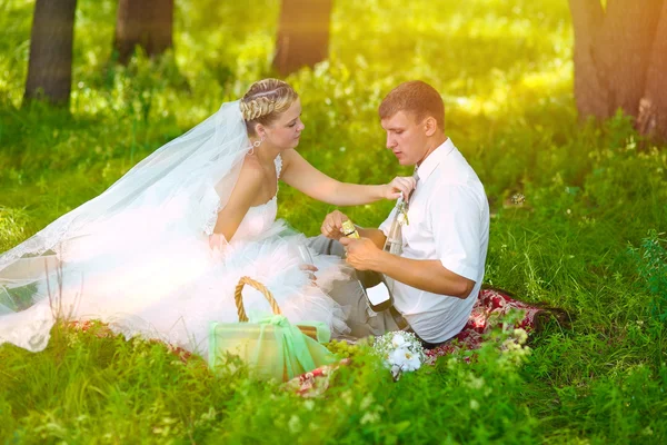 Casal piquenique casamento luz solar na clareira da floresta, fluxo noivo noiva — Fotografia de Stock