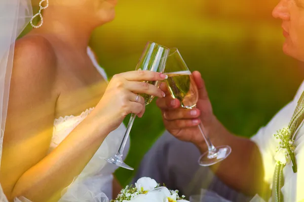 Couple sunlight beautiful wedding newlyweds picnic in a forest — Stock Photo, Image