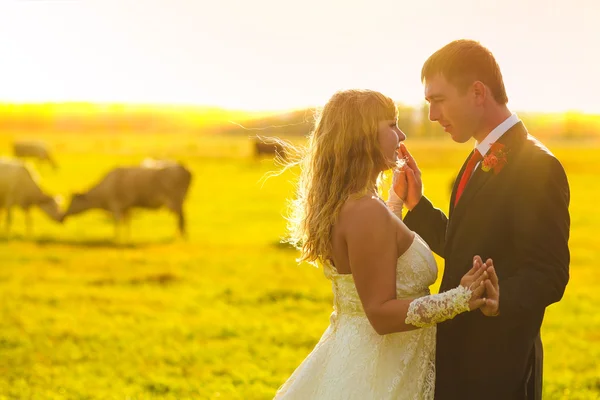 Paar zonlicht bruid en bruidegom bruiloft in de herfst zijn geel fie — Stockfoto