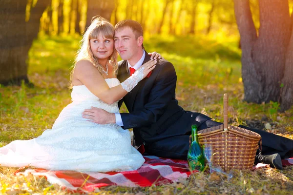 Couple sunlight bride and groom yellow autumn forest, sitting on — Stock Photo, Image