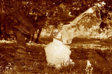 Retro sepya Foto, yalnız kadın beyaz elbise düğün gelin ağaç f