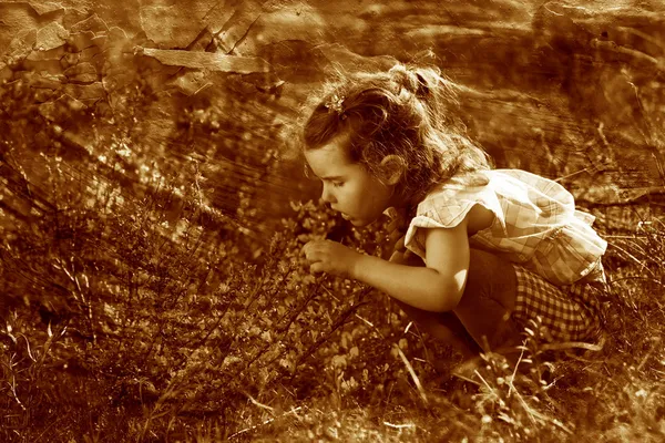 Petite fille étudie toucher regarder une fleur jaune dans — Photo