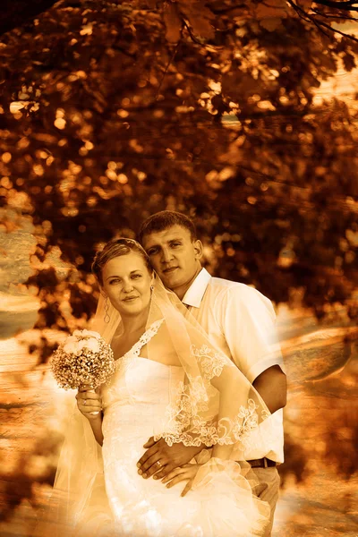 Retro sepia foto paar bruiloft zijn in groene zomer bos, bri — Stockfoto