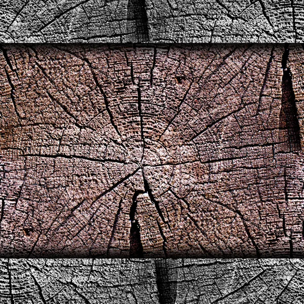 Doku en eski ağacı bağlam halkalar içinde arka plan iletisi wal — Stok fotoğraf