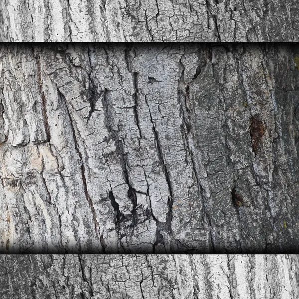 Background bark tree wall grunge fabric abstract stone texture w — Stock Photo, Image