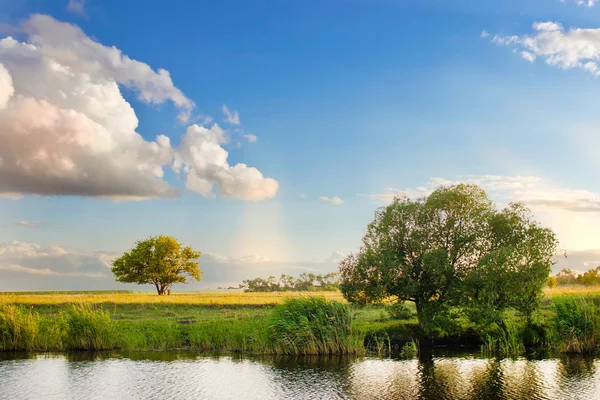 Floden himlen sommaren träd landskap natur skog — Stockfoto