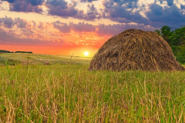The Russian landscape in hay field sky — Stock Photo, Image