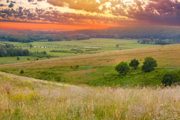 Landskap solnedgång himlen grönt gräs sommaren natur äng hill hä — Stockfoto