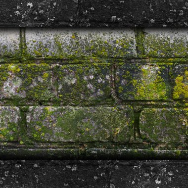 Moss old green wall stone pattern mold gray texture background r clipart