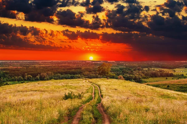 Silniční krajina slunce letní přírody pole sky venkovských zelené sunris — Stock fotografie