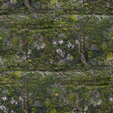 Seamless moss old green wall stone pattern mold gray texture bac clipart