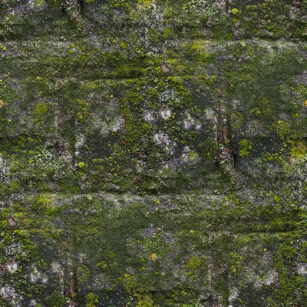 Seamless moss old green wall stone pattern mold gray texture bac — Stock Photo, Image