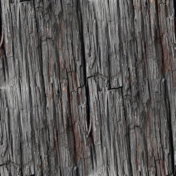 Seamless wood texture old background tree pattern brown nature t — Stock Photo, Image