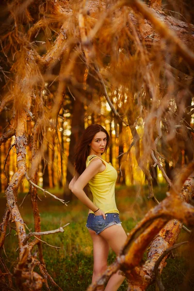 Beautiful brunette woman shorts and a t-shirt stands in the d — Stock Photo, Image