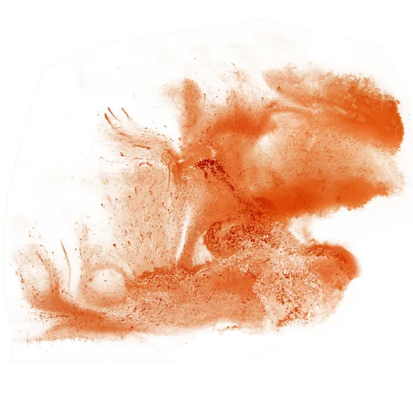 Color abstracto tinta marrón acuarela salpicadura pintura fondo isol — Foto de Stock