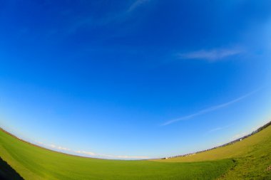 yeşil alan ve mavi gökyüzü yaz f tarafından fotoğraflandı, yatay