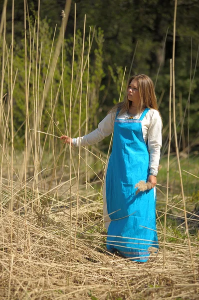 Chica en un vestido azul en un campo de hierba seca alta — Foto de Stock