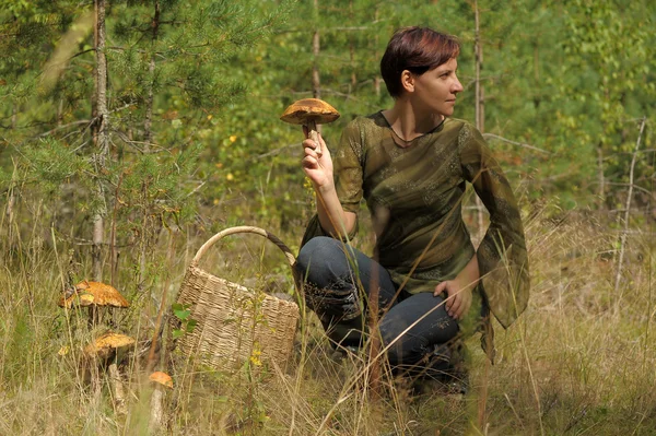 Mladá žena sbírat houby — Stock fotografie