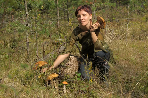 버섯을 수집 하는 젊은 여자 — 스톡 사진