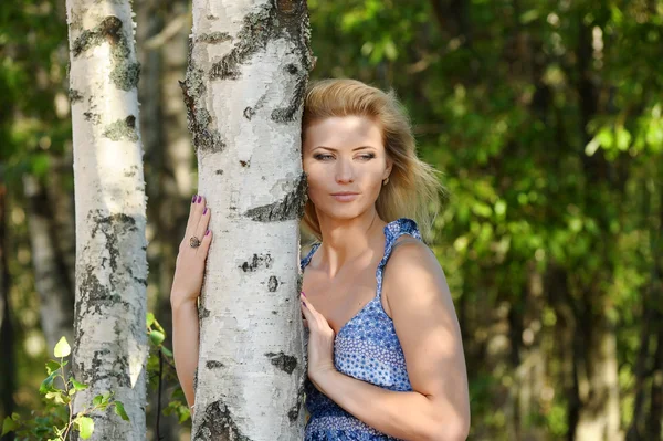 자작나무 근처 여자 — 스톡 사진