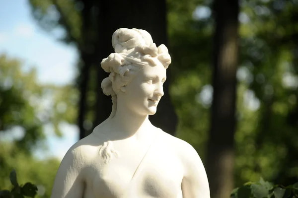 A statue of the Summer Garden — Stock Photo, Image