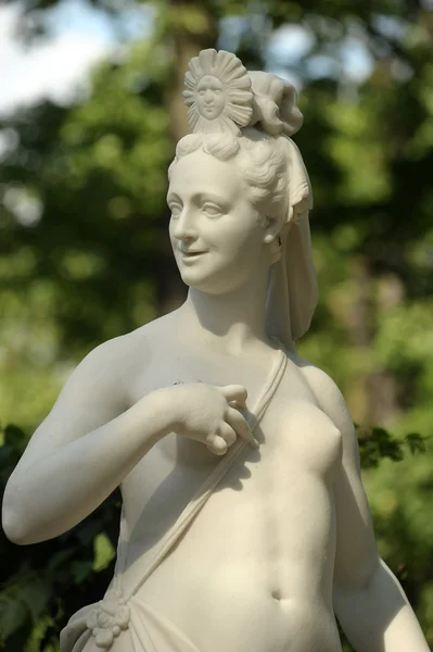 A statue of the Summer Garden — Stock Photo, Image