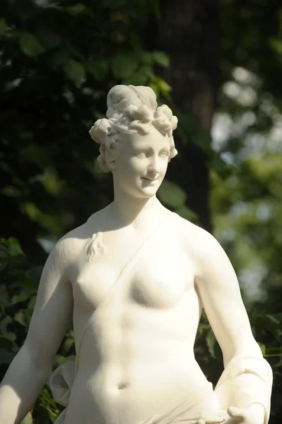 A statue of the Summer Garden — Stock Photo, Image