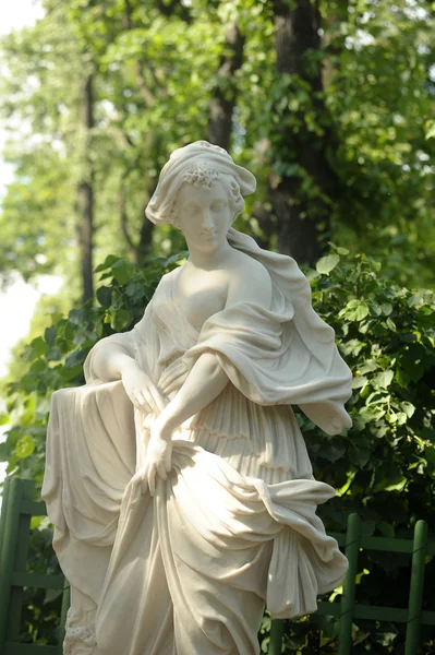 A statue of the Summer Garden — Stock Photo, Image