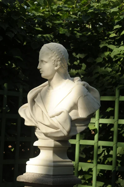 A statue of the Summer Garden — Stock Photo, Image