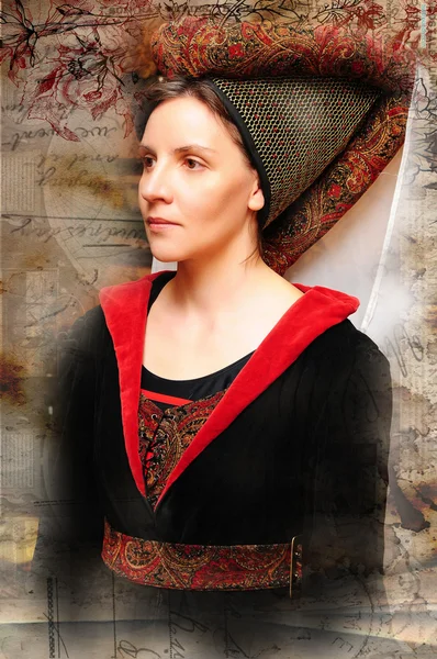 A középkorban hölgy — Stock Fotó