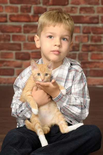 Jongen met een kleine kitten — Stockfoto