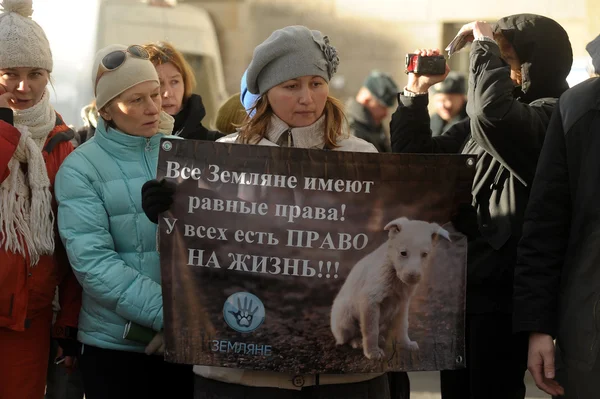 Zooprotective movement — Stock Photo, Image