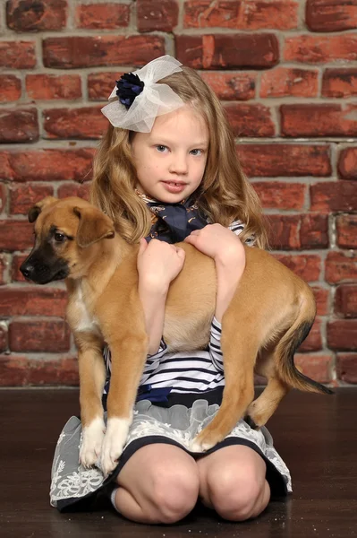 Meisje met een puppy — Stockfoto