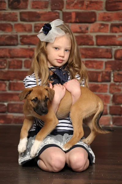 Girl with a puppy — Stock Photo, Image