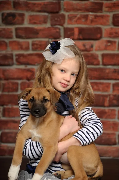 Chica con un cachorro —  Fotos de Stock