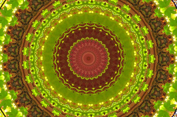 绿色与褐色圆形装饰 — 图库照片